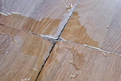 Wood floor with water damage near Breese Illinois (IL)