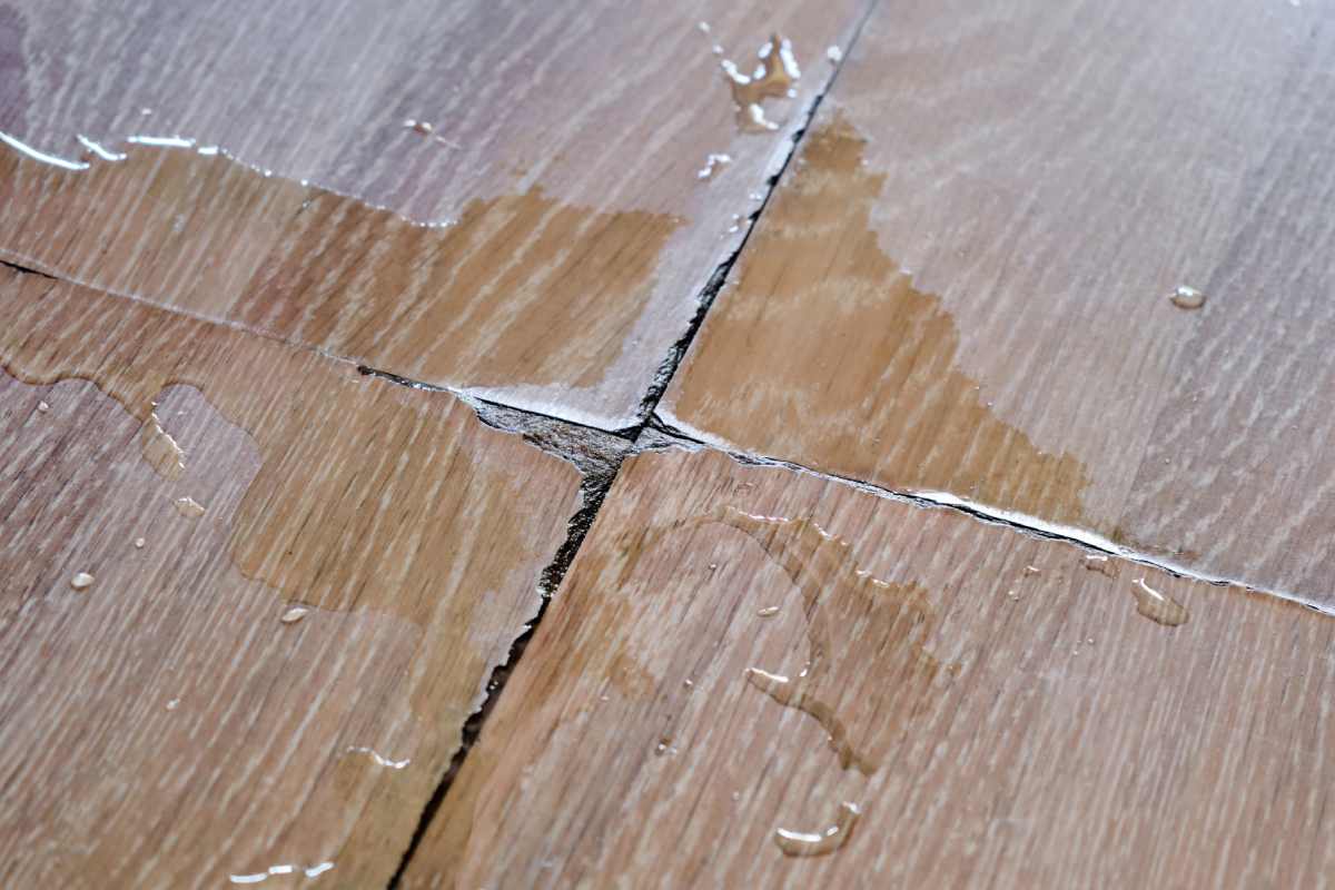 Residential Water Damage Company Near Me